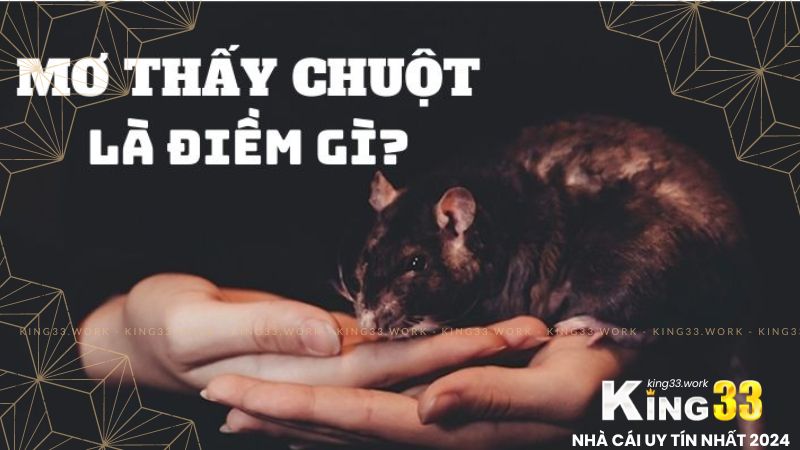 King33 - Nằm Mơ Thấy Chuột Giải Mã Giấc Mơ 1 Nằm mơ thấy chuột